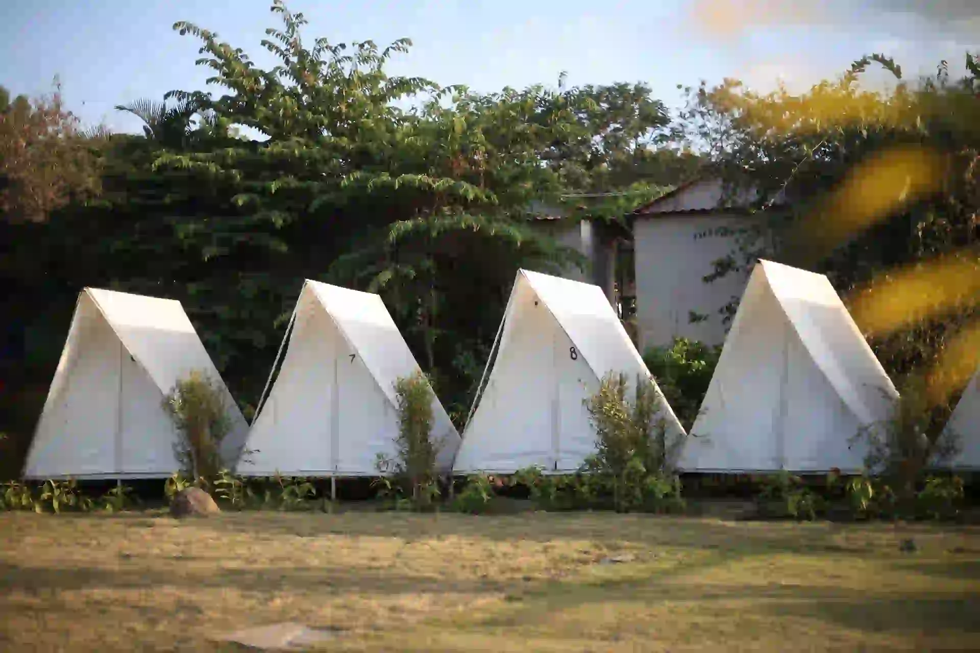 Premium Triangle Tents